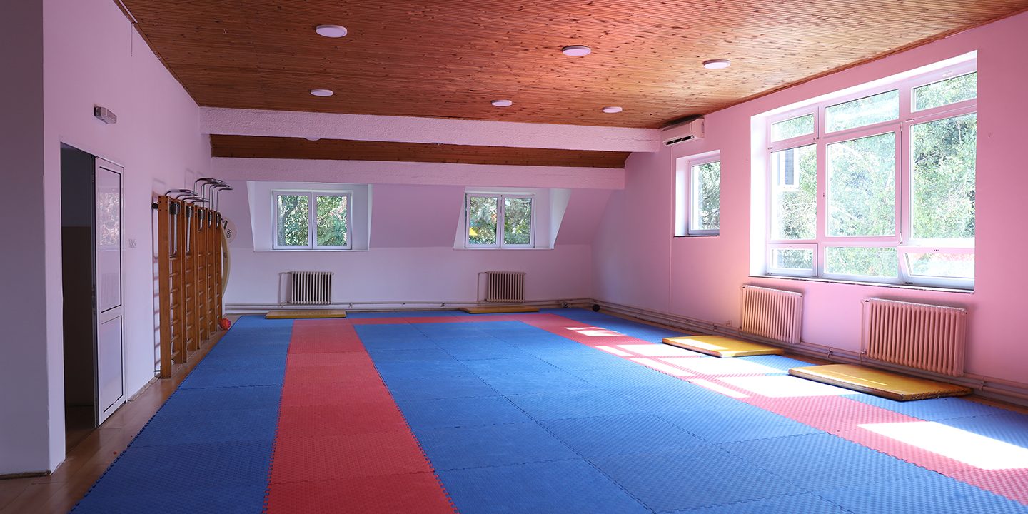 Спортска секција